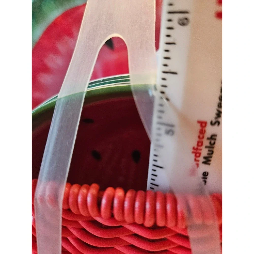 Watermelon Wicker Basket w Melamine 4 Bowls 4 Plates‎ Picnic Summer Pool Party